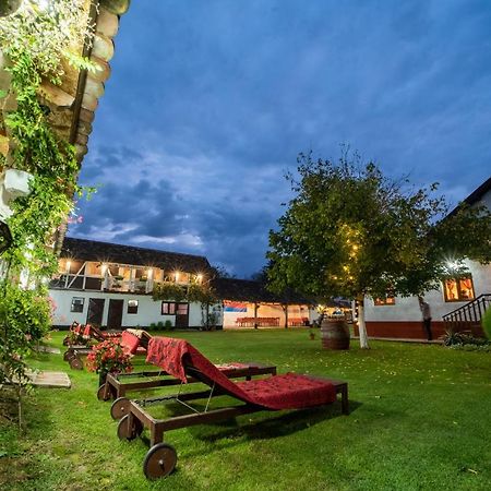 Domacinstvo Cikic Zasavica Guest House Luaran gambar