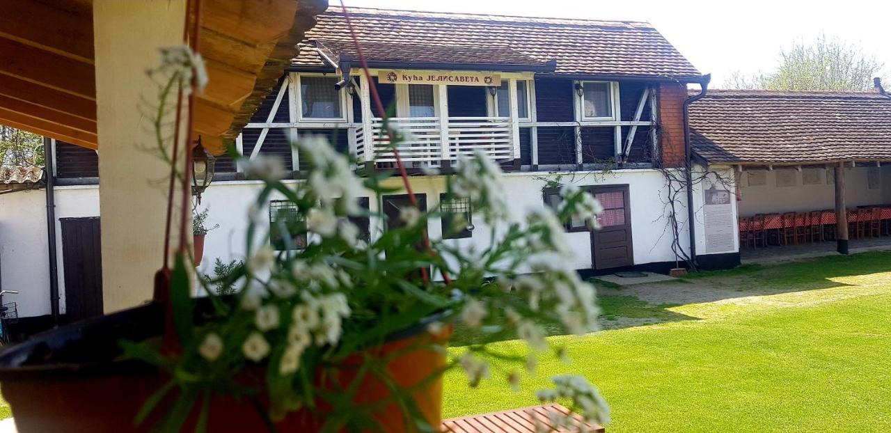 Domacinstvo Cikic Zasavica Guest House Luaran gambar