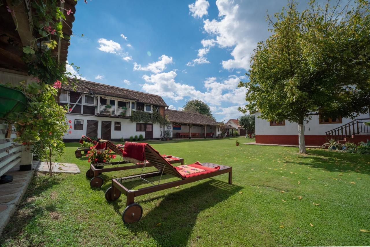 Domacinstvo Cikic Zasavica Guest House Luaran gambar
