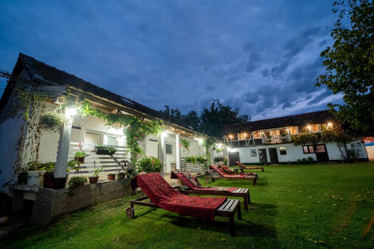 Domacinstvo Cikic Zasavica Guest House Luaran gambar