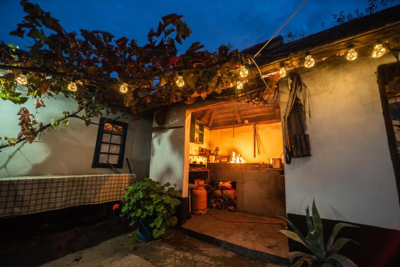 Domacinstvo Cikic Zasavica Guest House Luaran gambar