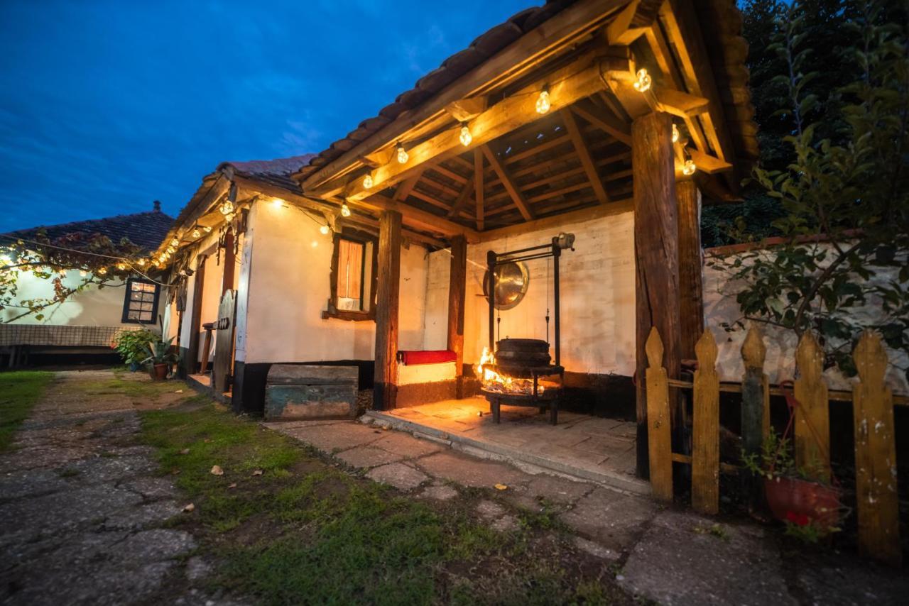 Domacinstvo Cikic Zasavica Guest House Luaran gambar