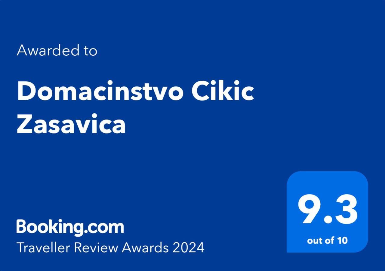 Domacinstvo Cikic Zasavica Guest House Luaran gambar
