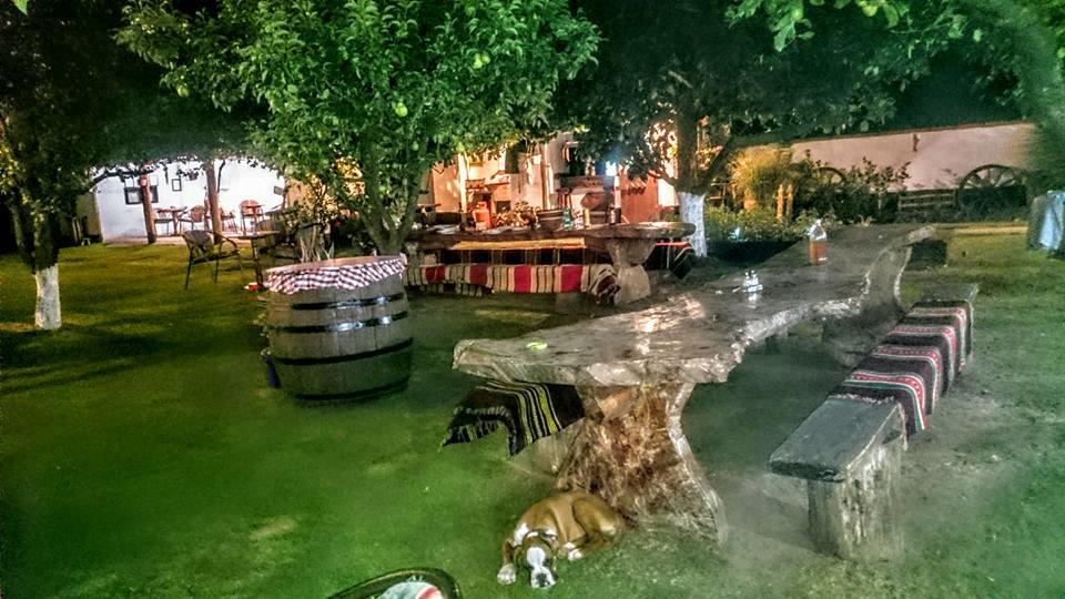 Domacinstvo Cikic Zasavica Guest House Luaran gambar