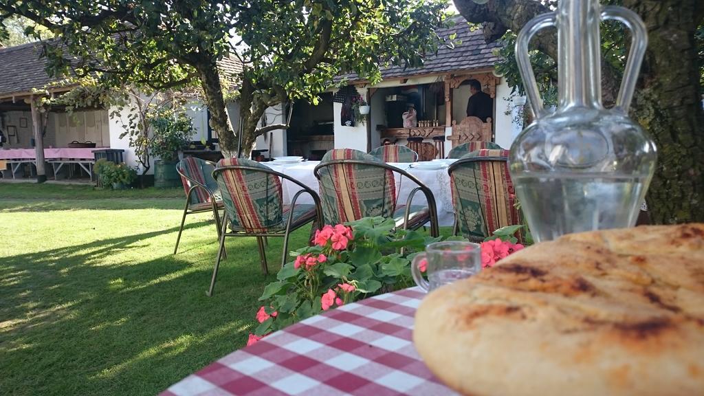 Domacinstvo Cikic Zasavica Guest House Luaran gambar