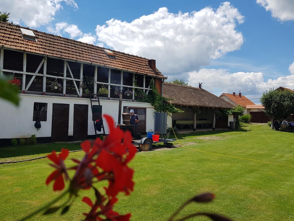 Domacinstvo Cikic Zasavica Guest House Luaran gambar