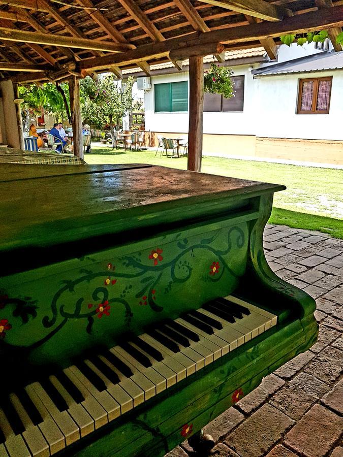 Domacinstvo Cikic Zasavica Guest House Luaran gambar