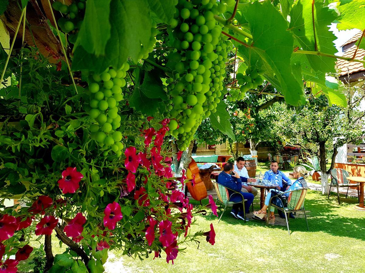 Domacinstvo Cikic Zasavica Guest House Luaran gambar